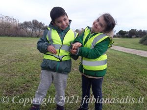 sorelle e fratelli un frullato di emozioni